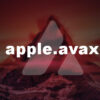 apple avax avalanche domain name avvy