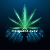 marijuana.avax avalanche avvy domains blockchain web3 nfts tlds crypto