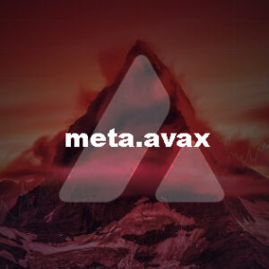 meta.avax avalanche avvy domains blockchain web3 crypto tlds
